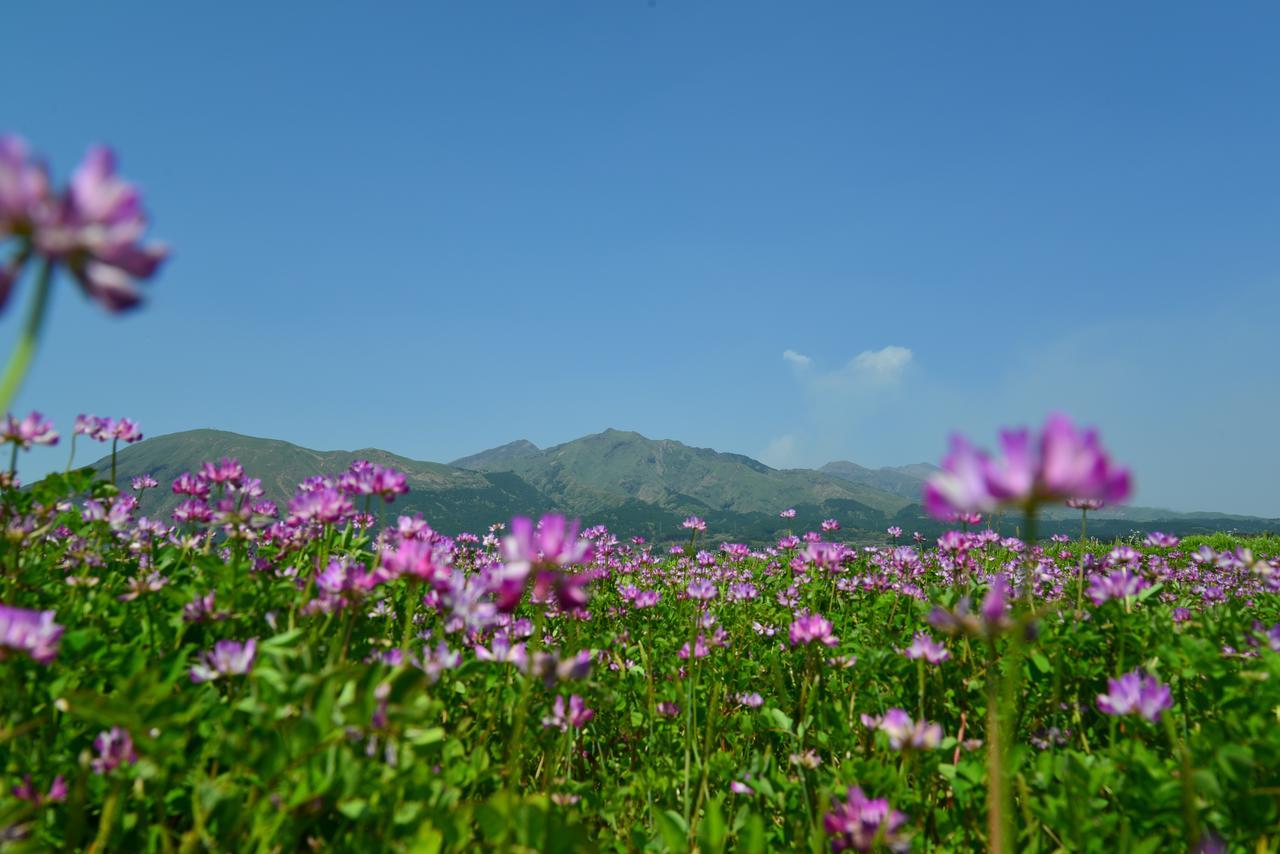 Hotel Shikino Mori Aso Pokoj fotografie